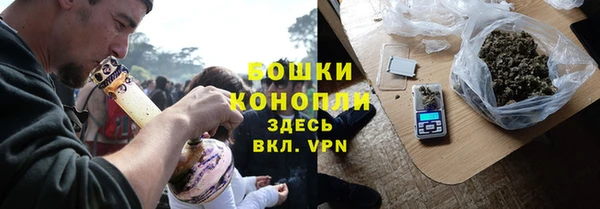 амф Мегион