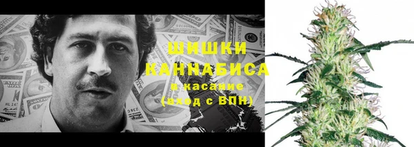 амф Мегион