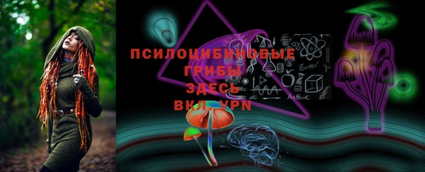 бошки Медногорск