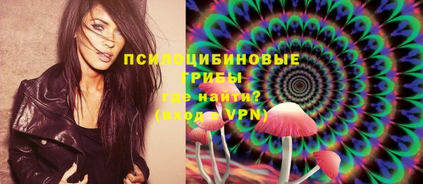 амф Мегион