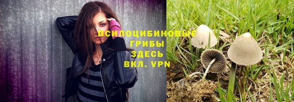 бошки Медногорск