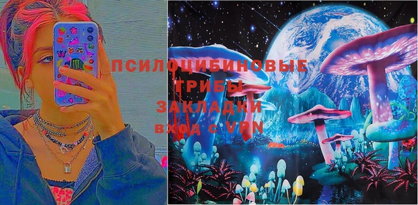 амф Мегион