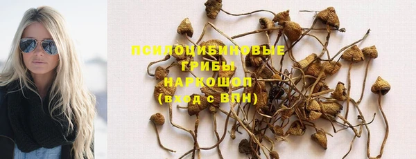 амф Мегион