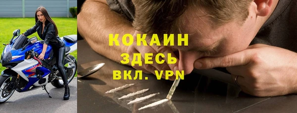амф Мегион