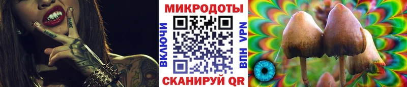 Галлюциногенные грибы Cubensis  Темников 